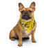 Intersex Pride Waves Bandana